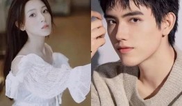 圈内爆料杨紫肖战最新,神秘新剧引期待